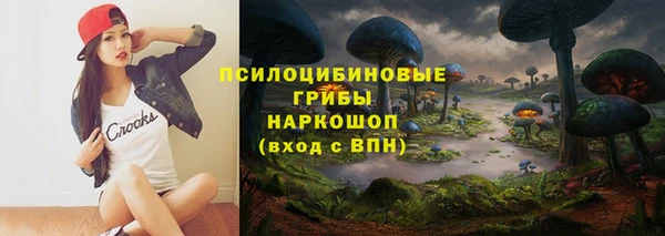 альфа пвп Корсаков