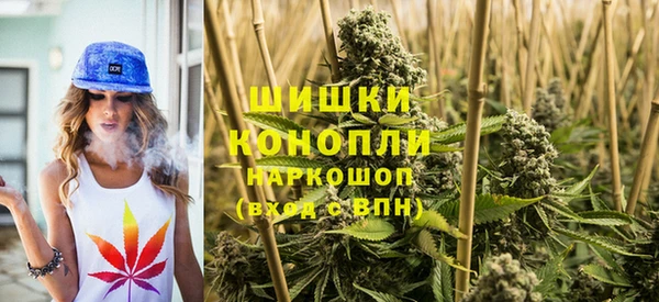 ECSTASY Коряжма