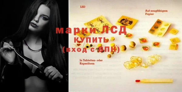 индика Краснослободск