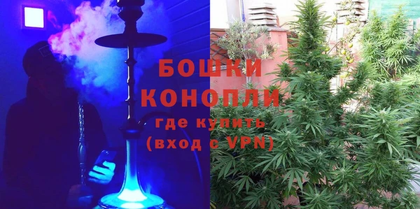 амф Костерёво