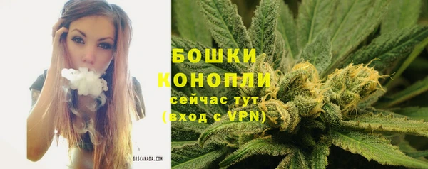альфа пвп Корсаков