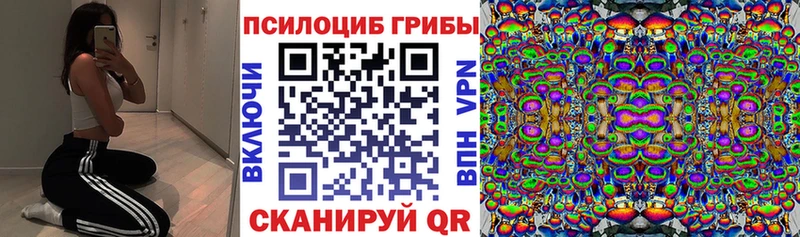 Купить закладки  Ивдель  Псилоцибиновые грибы GOLDEN TEACHER 
